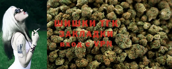 трава Беломорск
