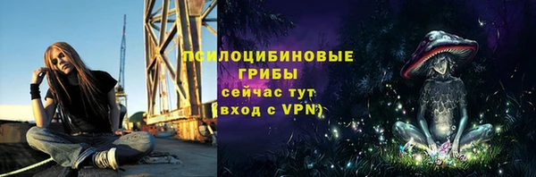 кокс Белокуриха