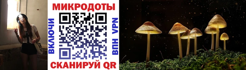 Галлюциногенные грибы Psilocybine cubensis  Севск 
