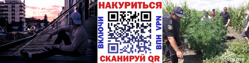 Канабис Amnesia Севск